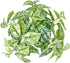 Hisow Artificial Potted Plants, 13" Faux Green Leaves Fake Plant with Natural Stone and Cement Pot Artificial Plants for Home Office Indoor and Room Decorations (A)