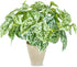 Hisow Artificial Potted Plants, 13" Faux Green Leaves Fake Plant with Natural Stone and Cement Pot Artificial Plants for Home Office Indoor and Room Decorations (A)