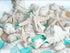 Nautical Crush Trading Sea Shells | Real Mixed Beach Seashells with Real Starfish & Caribbean Blue Sea Glass | White Decorative Seashell D©cor & Blue Seaglass Pieces | Seashell Wedding (1 Pack)