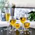 HyHousing 6 Oz Clear Plastic Champagne Glasses 16 Pack, Hard Disposable Plastic Champagne Flute Ideal for Home Daily Life Party Wedding Toasting Drinking Champagne (CF1-16)