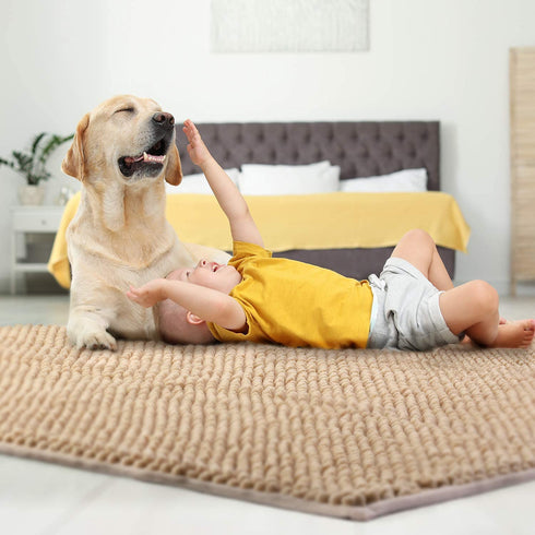 Delxo Chenille Door mat, 24"X 36" Extra Soft and Absorbent Mat ,Machine Wash and Dry Able,Low-Profile Rug Doormats Pet Mat for Entry, Front Door,Back Door,Entrance,Mud Room , High Traffic Areas,Beige