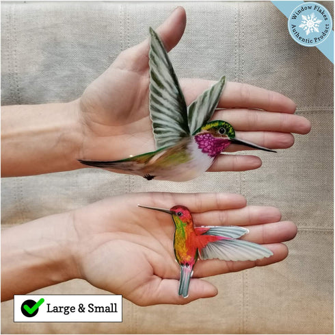 12 Hummingbird Window Clings - Beautiful Anti-Collision Window Stickers - Non Adhesive and Reusable Vinyl Window Decals for Birds Strikes