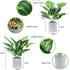WUKOKU 2pcs Fake Plants Small Artificial Potted Plants Office Plants for Home Farmhouse Bathroom Bedroom Kitchen Desk Decor
