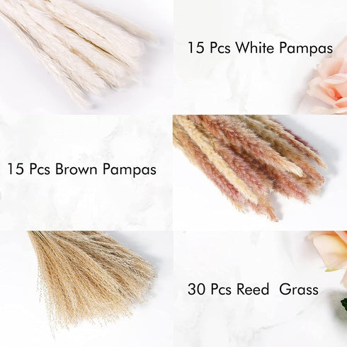 ANKRA 60 Pcs Natural Dried Pampas Grass, 15 Pcs White Pampas & 15 Pcs Brown Pampas & 30 Pcs Reed Grass, 20" Fluffy Pampas Grass Decor, Dried Pampas Grass for Flower Arrangements Home Decor, (ANKRA-01)