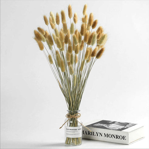 Natural Dried Bunny Tail Grass - 110~120 Stems Rabbit Tail Grass, Lagurus Ovatus for Boho Decor, Dried Pampas Grass Flower Arrangements Wedding Home Kitchen Office Decor (Nature)