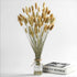 Natural Dried Bunny Tail Grass - 110~120 Stems Rabbit Tail Grass, Lagurus Ovatus for Boho Decor, Dried Pampas Grass Flower Arrangements Wedding Home Kitchen Office Decor (Nature)