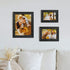 Picture Frames 5x7 Black (set of 6 Pack) - Rustic Farmhouse Wooden Frame - Photo Frame with Polished High Definition Glass for Table Top and Wall Mounting