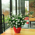 AITISOR Artificial Flowers, Fake Outdoor UV Resistant Plants Faux Plastic Greenery Shrubs Indoor Outside Hanging Planter Home Kitchen Office Wedding, Garden Decor(White)