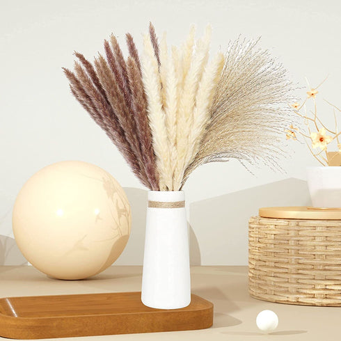 60 Pcs Pampas Grass | 15 Pcs White Pampas & 15 Pcs Brown Pampas & 30 Pcs Reed Grass/Natural Dried Pampas Grass for Flower Arrangements Boho Decor Home Decor