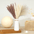 60 Pcs Pampas Grass | 15 Pcs White Pampas & 15 Pcs Brown Pampas & 30 Pcs Reed Grass/Natural Dried Pampas Grass for Flower Arrangements Boho Decor Home Decor