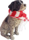 Sandicast German Shorthaired Pointer with Red and White Scarf Christmas Ornament