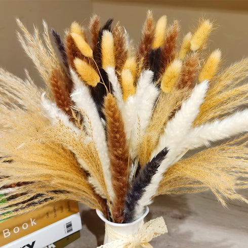 Natural Dried Pampas Grass 70Pcs, Include 20Pcs Brown Pampas 20 Pcs White and Black Pampas 10Pcs Fluffy Bunny Grass 20Pcs Reed Grass 17Inch Boho Flower Arrangements Pompous Bouquet Fall Home Decor
