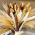 Natural Dried Pampas Grass 70Pcs, Include 20Pcs Brown Pampas 20 Pcs White and Black Pampas 10Pcs Fluffy Bunny Grass 20Pcs Reed Grass 17Inch Boho Flower Arrangements Pompous Bouquet Fall Home Decor