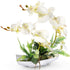YOBANSA Orchid Bonsai Artificial Flowers with Imitation Porcelain Flower Pots Phalaenopsis Fake Flowers Arrangements for Home Decoration (White 1)