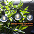 Bomcosy Patio Lights - Outdoor String Lights 30FT Smart Globe String Lights with Waterproof Shatterproof 15+1(Spare) G40 Led Bulbs, 2.4GHz Wi-Fi & Alexa Control Hanging Lights for Garden, Backyard