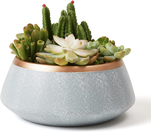 Large Succulent Planter Pots - Ceramic Indoor Outdoor Garden Pot with Drainage for Plant Flower, 8 Inch, Gray