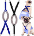 2 Pieces Dog Diaper Suspenders Belly Bands Canine Harness Keep Diaper on Your Dog for Small Medium and Large Dogs (Black, Blue,Medium)