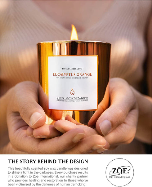 Eucalyptus & Orange Scented Candles for Home Scented | Wood Wicked Candles | Eucalyptus Candle | 8 oz 45 Hour Burn, All Natural Soy Candle, Calming Aromatherapy Candles in Rose Gold Glass Jar