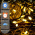 Christmas Lights - Battery Operated String Lights 50 Count Clear LED Mini Lights 8 Modes Green Wire Mini Light Set with Timer for Xmas Tree Wreath Party Indoor Outdoor Decor, Waterproof, Warm White