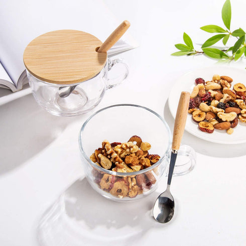 PARACITY Glass Cup 15OZ Clear Coffee Mug with Lids Spoon for Breakfast Tea,Milk,Beverage,Oats,yoghurt