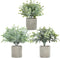 ODOM Artificial Plants, 3Pcs Small Fake Plants for Bedroom Aesthetic, Faux Eucalyptus Plants for Office Desk Bathroom Farmhouse Home Decorations