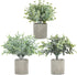 ODOM Artificial Plants, 3Pcs Small Fake Plants for Bedroom Aesthetic, Faux Eucalyptus Plants for Office Desk Bathroom Farmhouse Home Decorations