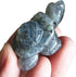 Gemgogo 2 Pcs White Moonstone Crystals and Healing Stones Tortoise, 1.5 Inches Reiki Pocket Gemstone Figurines Room Decor Gemstone