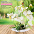 YOBANSA Orchid Bonsai Artificial Flowers with Imitation Porcelain Flower Pots Phalaenopsis Fake Flowers Arrangements for Home Decoration (White 1)
