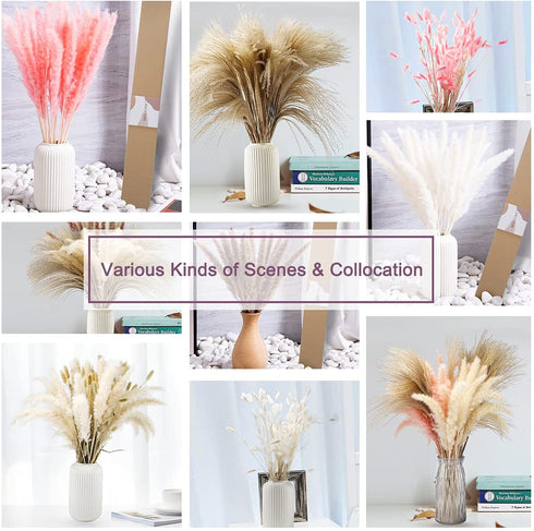17.72" Dried White Pampas Grass 15 Pcs–•Brown Dried Flower 15 Pcs–•30 Pcs Natural Dried Reed, Natural Home Decor & Ideal for Flower Arrangements, Wedding Plants(60 Pcs)
