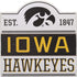 Open Road Brands University of Iowa Hawkeyes Bump Planked Wood Wall Decor