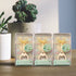12-Pack Mexican Theme Baby Shower Bottle Opener Favor for Guests?Cactus Bottle Openers for Wedding,Baby Shower,Bridal Shower or Mexican Party/Decorations/Gifts/Favors/Souvenirs (12, Gold Cactus)