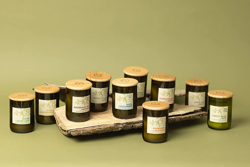Paddywax Candles Eco Green Collection Scented Candle, 8-Ounce, Mandarin & Lavender