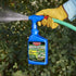 BioAdvanced 704645A Brush Killer Plus, Poison Ivy Killer and Stump Remover, 32 Ounce, Ready to Spray