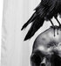 HIYOO Halloween Skull Raven Shower Curtain with Hooks, Horror Scary Skeleton Hallowmas Bathroom Art Decor Bathtub Black and White Shower Curtains, Waterproof Fabric - Mysterious Bird 60" W x 72" L