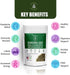 Damiana Herb Leaf Tea for Women, Men | Loose Leaf, Dried, Cut and Sifted for Adrenal Support| 4oz / 114 Grams| Made in USA