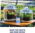 Anchor Hocking 1-Gallon Heritage Hill Jar, Set of 2