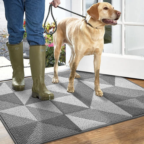 DEXI Indoor Doormat, Non Slip Absorbent Resist Dirt Entrance Rug, 20x32 Machine Washable Low-Profile Inside Floor Door Mat
