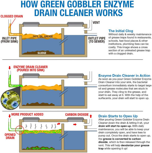 Green Gobbler ENZYMES for Grease Trap & Sewer - Controls Foul Odors & Breaks Down Grease, Paper, Fat & Oil in Sewer Lines, Septic Tanks & Grease Traps (1 Gallon)