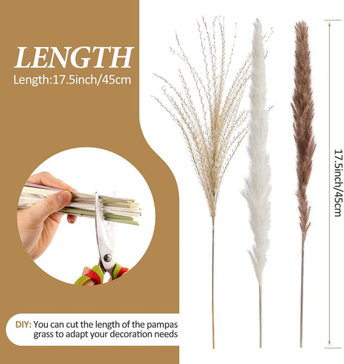 Ritattas Natural Dried Pampas Grass, 60 Pcs Pampas Grass with 20 Pcs White Pampas & 20 Pcs Brown Pampas & 20 Pcs Fluffy Reed Grass for Flower Arrangement Home Decor Wedding Boho Decor