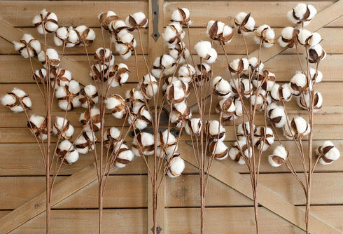idyllic Pack of 6 Cotton Stems - 31 Inches Tall - 12 Cotton Bolls Per Stem Real Elastic Cotton Stalk Rustic Floral for Home Decor Wedding Centerpiece Farmhouse Style