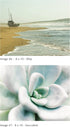 Wall Art Print Decor - Believe - 7 piece image set. 2 - 11x14, 4 - 8x10, 1-5x7 printed on Premium Fine Art Lustre paper. UNFRAMED