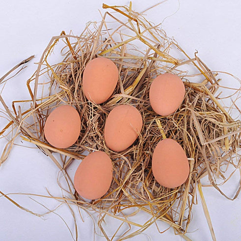 Liberty Imports Bulk Set of 24 Pcs Bouncy Eggs Realistic Fake Rubber Bouncing Balls (Brown)