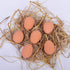 Liberty Imports Bulk Set of 24 Pcs Bouncy Eggs Realistic Fake Rubber Bouncing Balls (Brown)