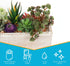 Houseables Succulent Plant Arrangement, Artificial Succulents Planter, 11.5 x 7.5 x 3.75, Assorted Plants, Long Rectangular Wood Centerpiece for Tables, Fake Cactus Decoration, Rustic, Faux Decor