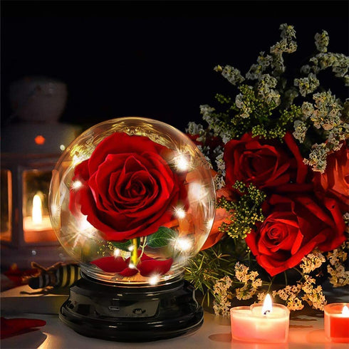 Valentine's Day Gifts for her,Birthday Gifts Beauty and Beast Rose for her, Forever Flower for Valentine's Day Wedding Anniversary Christmas Rose Gift Presents