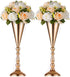 2 Pcs Tabletop Metal Wedding Flower Trumpet Vase, Table Decorative Centerpiece, Artificial Flower Arrangements for Anniversary Ceremony Party Birthday Event Aisle Home Decoration (Gold)