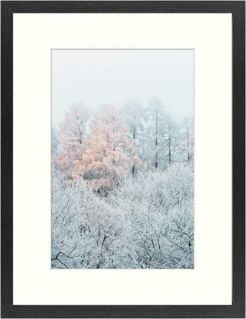 Golden State Art, 12x16 Picture Frame - Ivory Mat for 8x12 Photo - Sawtooth Hangers for Wall Display - Great for Family Photos, Portraits, Baby Pictures (Black)