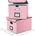 Collapsible File Storage Organizer Boxes with Lids, Huolewa Linen Document Storage, Universal Hanging Filing Organization Box for Letter/Legal Folder, Decorative Office /Home File Bins - Pink (2 Pack)