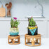 Set of 2 Mini Rattan Woven Plant Stand for Indoor Plants Round Decorative Flower Riser Holder Modern Plant Stand with Boho Plant Stand Holder Suitable Fits 4'' and 6'' Pots