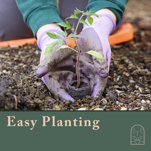 Window Garden Fiber Soil Direct Plant Seed Starters (36mm) 48 Pods - use with our Seed Starter Kit or Any Tray. Expands with Water, Grow Herbs, Flowers and Vegetables. No Messy Soil, Easy,Successful
